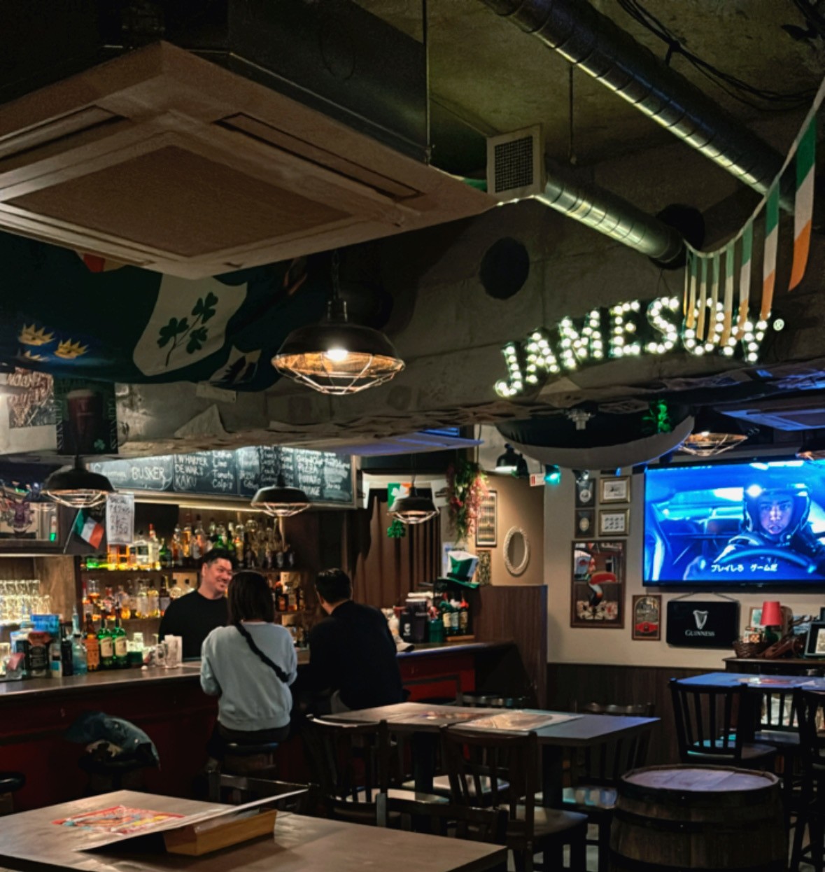 IRISH PUB The Red Deer